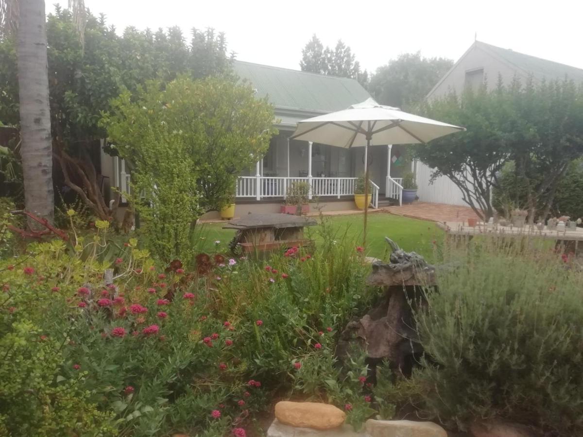 Housemartin Lodge & Self Catering De Rust Екстер'єр фото